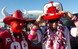 Houston Texans Grill and Tailgating Accessories and Gifts