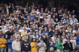 Milwaukee Brewers Grill and Tailgating Accessories and Gifts