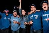 Toronto Blue Jays Grill and Tailgating Accessories and Gifts