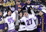 Baltimore Ravens Grill and Tailgating Accessories and Gifts